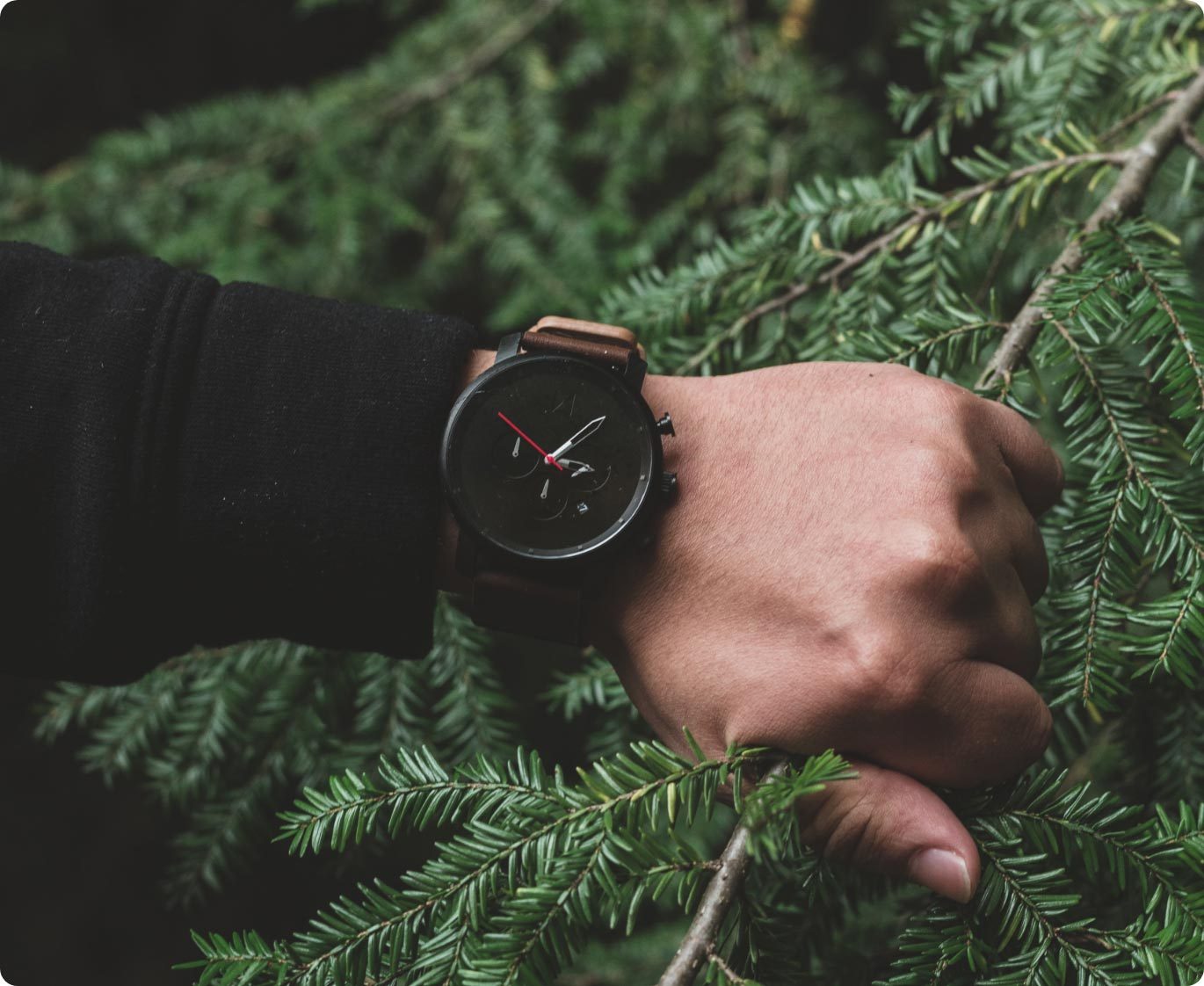 Vortex – Explore the Outdoors with Vortex Optics,Find Your Perfect Outdoor Optics Gear,Bring Distant Details into Focus